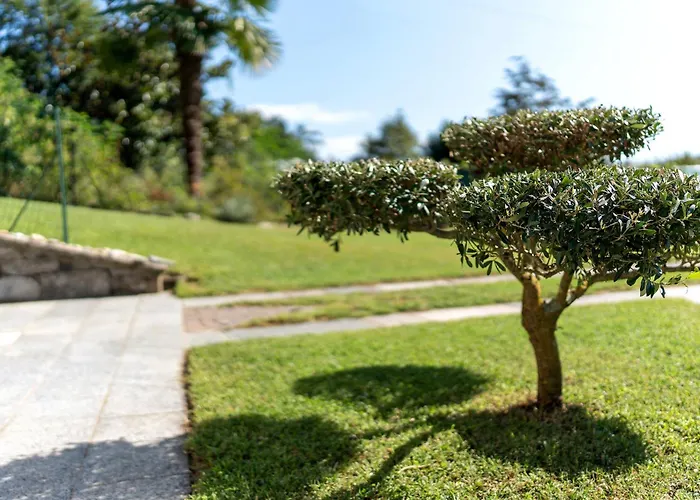 Residenza Jasmine Yellow Lejlighed Verbania